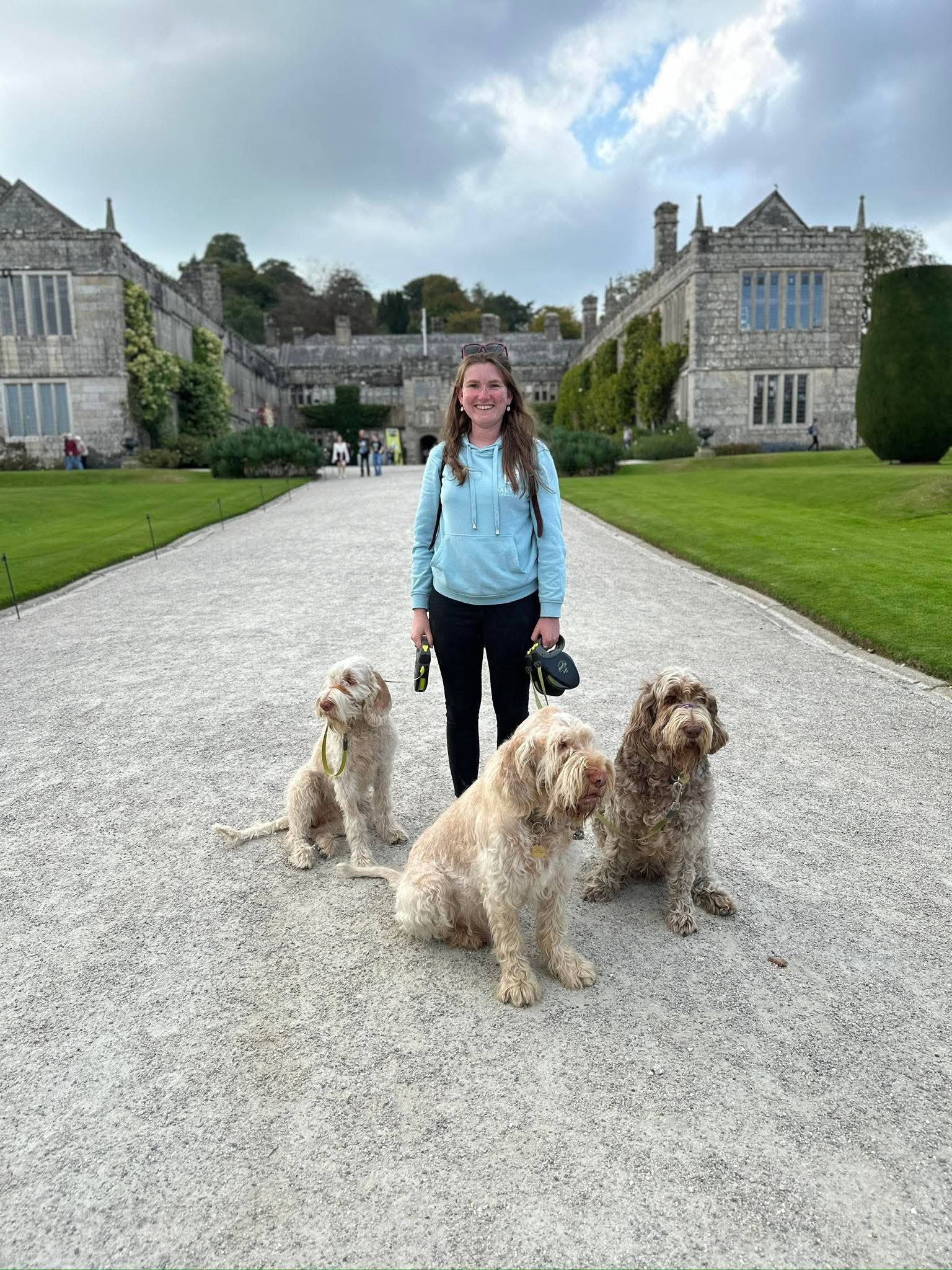 b779a58fb0d5ccf75552a3d0f9946ce6