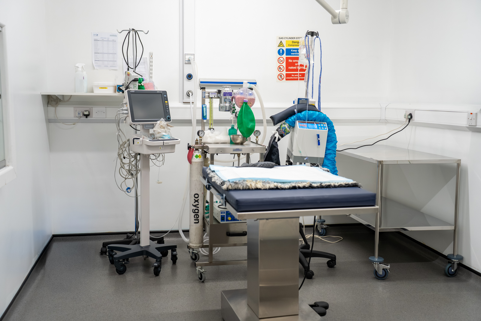 Ashfield House Veterinary Hospital_Web Ready_Ashfield House Veterinary Hospital (Web) 2026-08 167